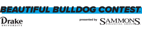 Beautiful Bulldog Contest Banner