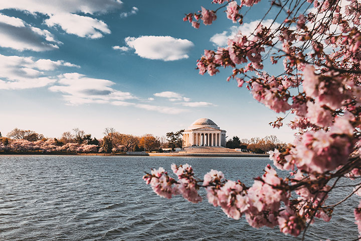 Washington DC Happy Hour